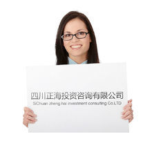 四川正海投資咨詢 企業(yè)管理咨詢的價(jià)值與實(shí)踐路徑