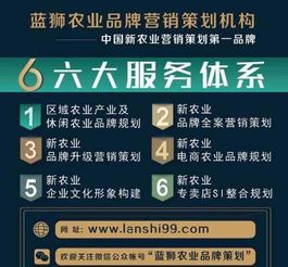 大米策劃 差異化戰(zhàn)略引領(lǐng)農(nóng)產(chǎn)品品牌營銷成功之路
